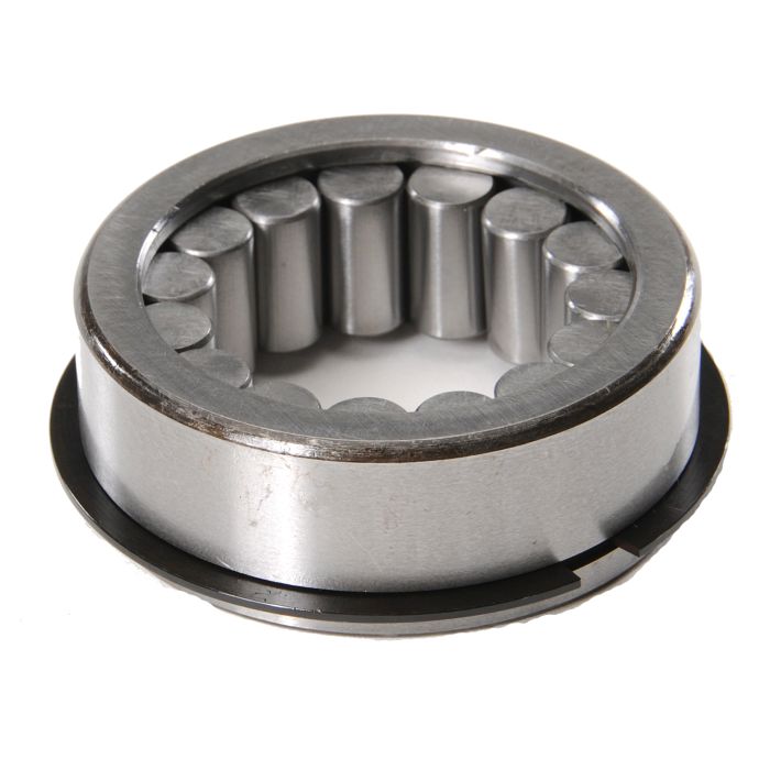 BEARING-REAR CLUSTER GEAR