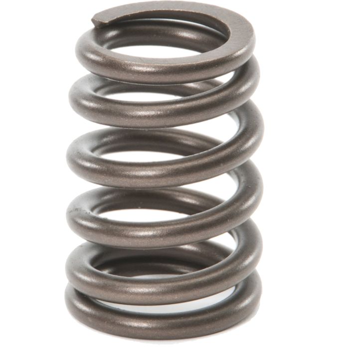 VALVE SPRING 95-02 2.5L 96-06 4.0L