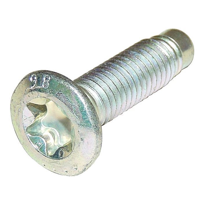 CROWN JK DOOR/TAILGATE HINGE SCREW