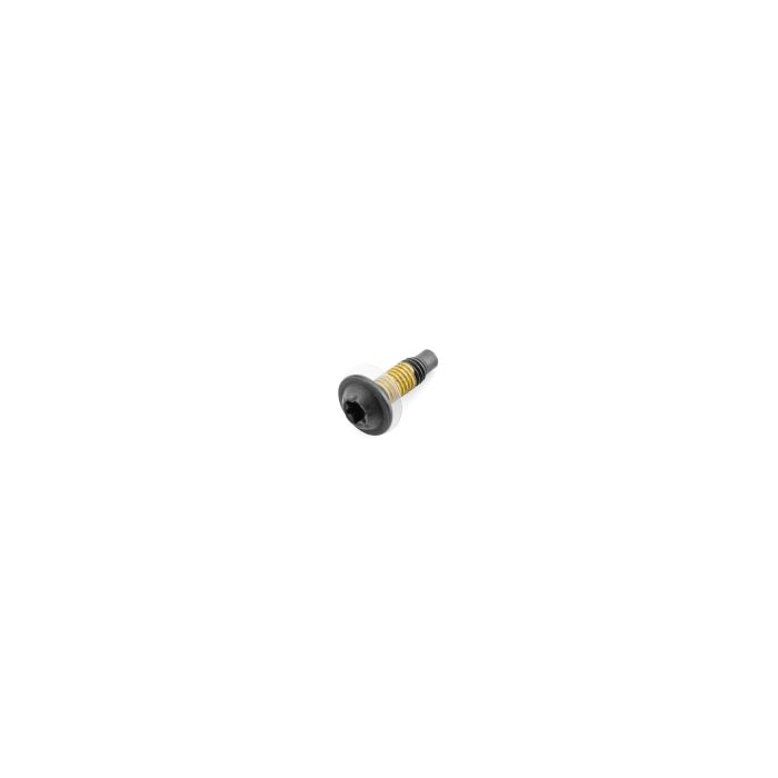 AccuPart  Torx Screw for 97-06 Jeep Wrangler TJ