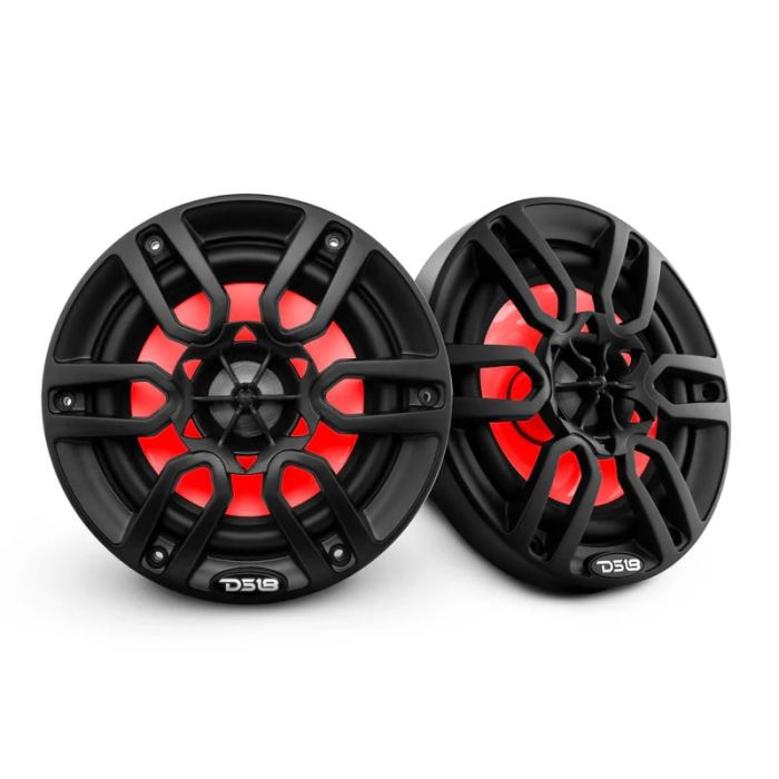 DS18  6.5" 2-Way Coaxial Marine Speaker with LED RGB Lights  