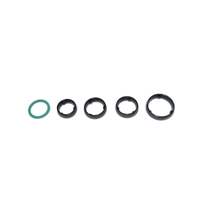 Mopar 68191356AA O Ring Kit 