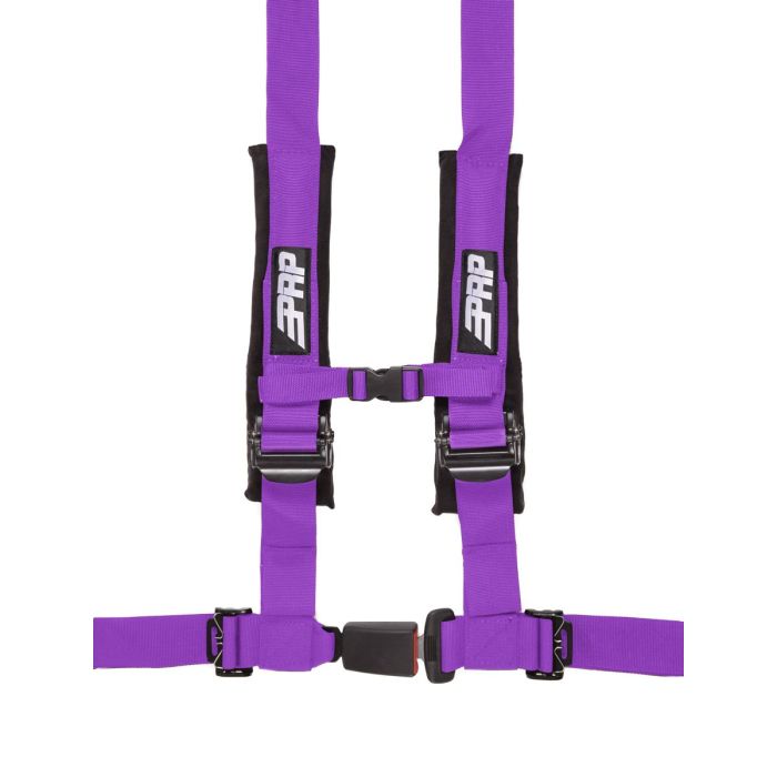 4.2 Harness, Purple