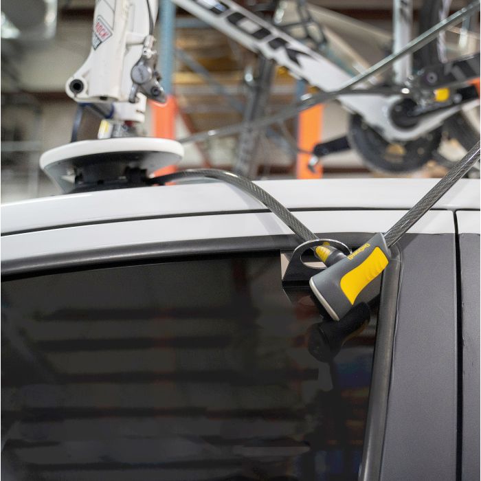 SeaSucker  Cable Anchor & Lock Combo 