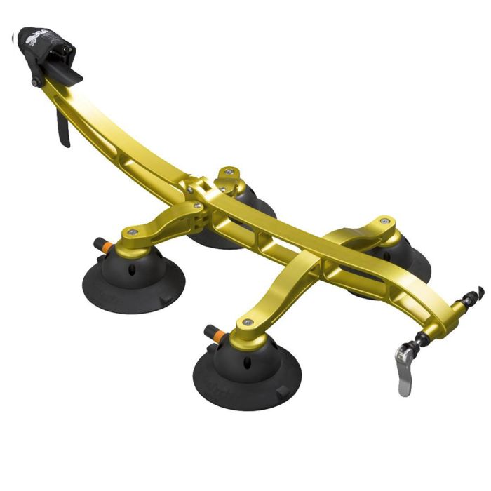 Gold Komodo
