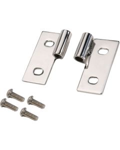 RAMPGE LOWER DR HINGES 76-06 BLACK