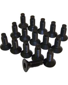 Crown Automotive 6035757K Windshield Torx Screw Kit for 76-06 Jeep CJ, Wrangler YJ, TJ & Unlimited