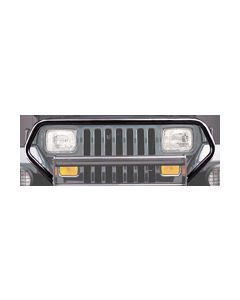 BRUSH GUARD GLOSS BLACK                 670-111