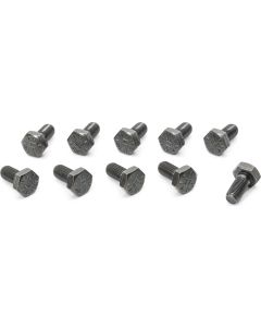 RING GEAR BOLT KIT 02-06 TJ 07 JK