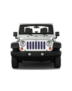 UTS JL DEEP AMETHYST PEARL INSERT WITH TRAIL CAMERA