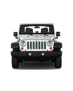 UTS JL SHALE GREEN METALLIC INSERT WITH TRAIL CAMERA