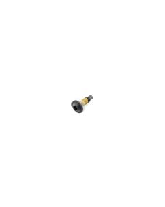 AccuPart  Torx Screw for 97-06 Jeep Wrangler TJ