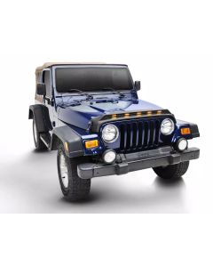 AVS 953091 Aeroskin LightShield PRO for 97-06 Jeep Wrangler TJ