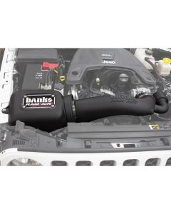 BANKS RAM-AIR INTAKE DRY FILTER JL 3.6L