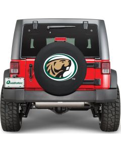 HBS TIRE COVER BEMIDJI ST 30X8 BLK