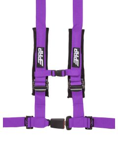 4.2 Harness, Purple