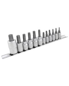 Performance Tool W1335 12-Piece Socket Drive Torx Set 