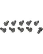 RING GEAR BOLT KIT 02-06 TJ 07 JK