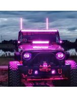 Quake LED  HD RGB Accent Whip Light Kit 