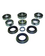 AXLE DIFFERENTIAL REBUILD KIT-CHRY 8.25