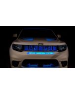 Diode Dynamics   RGBW Multicolor Grille LED Kit 